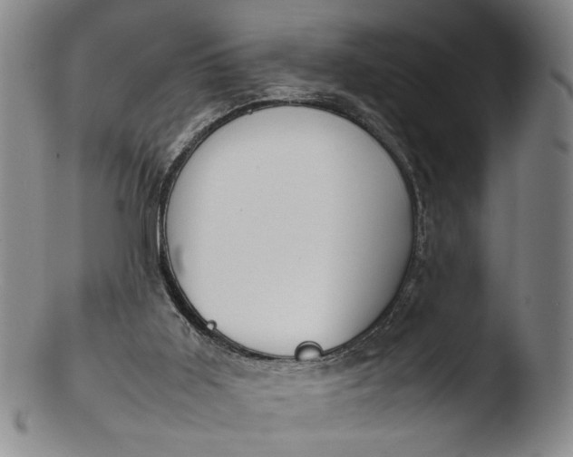 X0000103430011200809261742