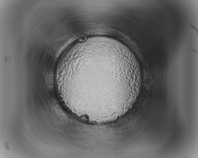 X0000103430012200809261742