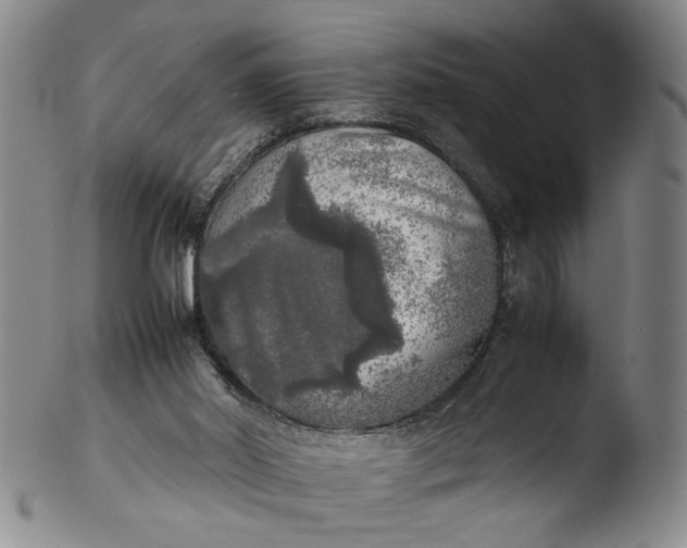 X0000103430014200809261742