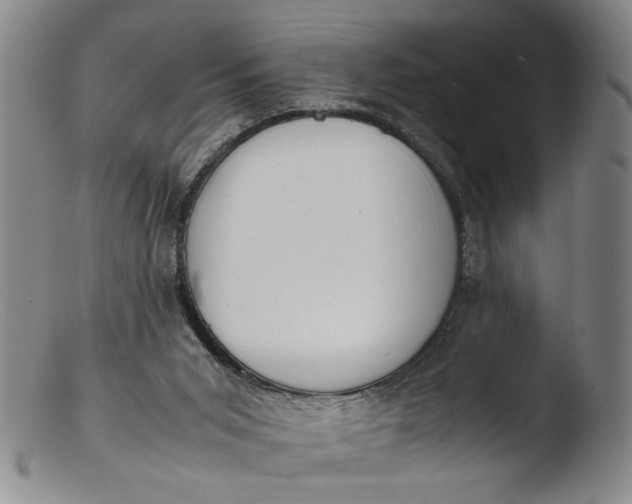 X0000103430015200809261742