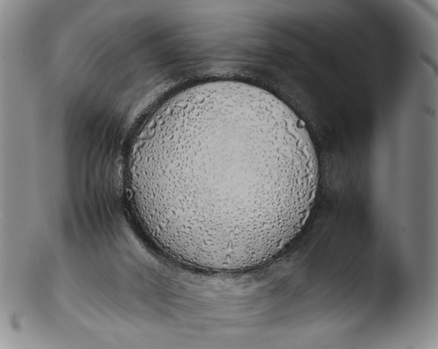 X0000103430016200809261742