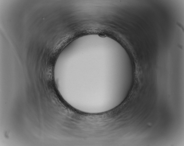 X0000103430017200809261742