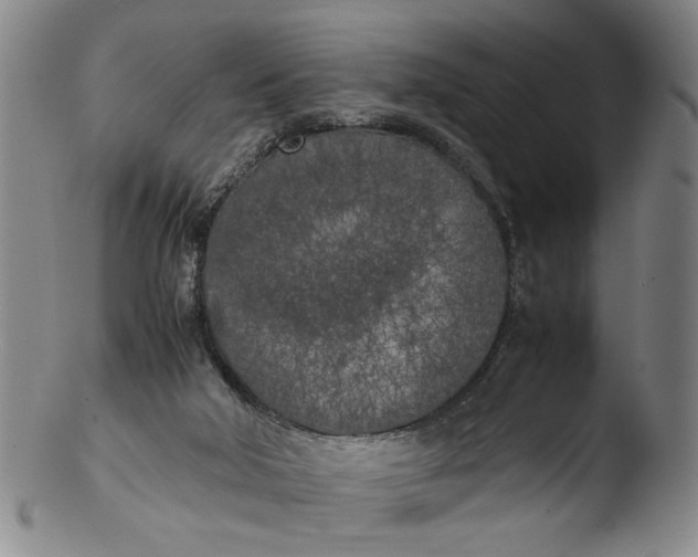 X0000103430018200809261742