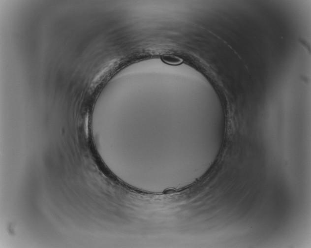 X0000103430019200809261742