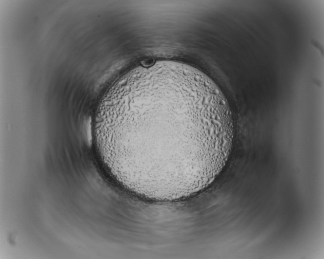 X0000103430020200809261741