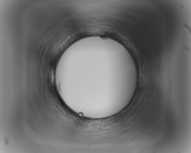 X0000103430021200809261741