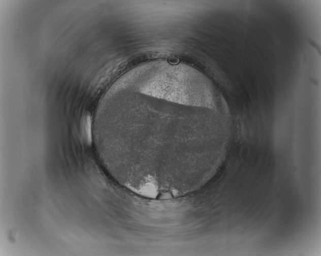 X0000103430022200809261741