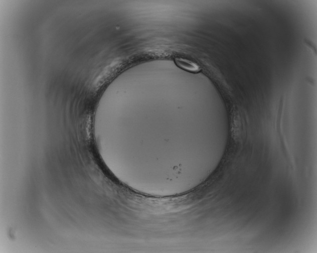 X0000103430023200809261741