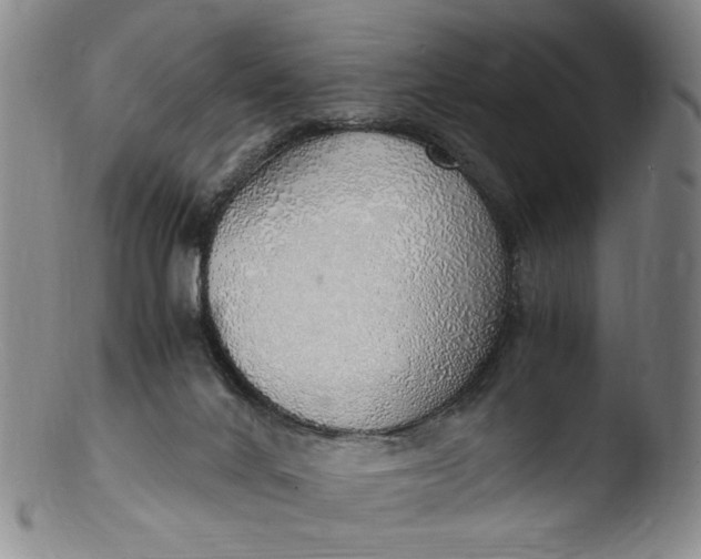 X0000103430024200809261741