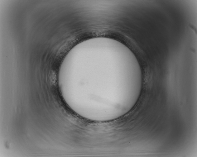 X0000103430025200809261741