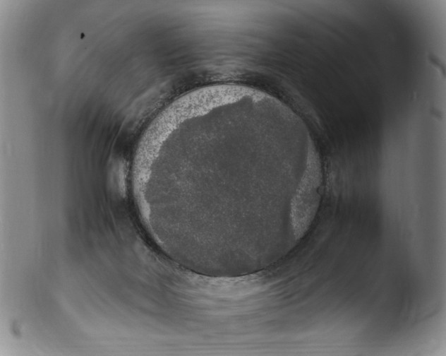 X0000103430026200809261741