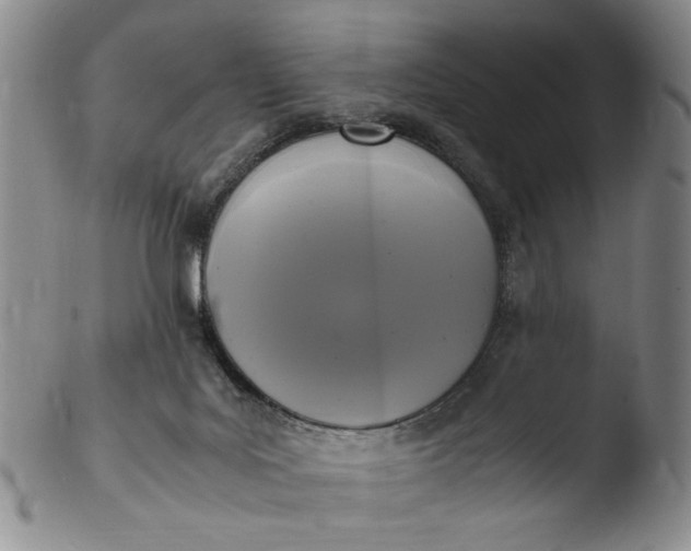 X0000103430027200809261741