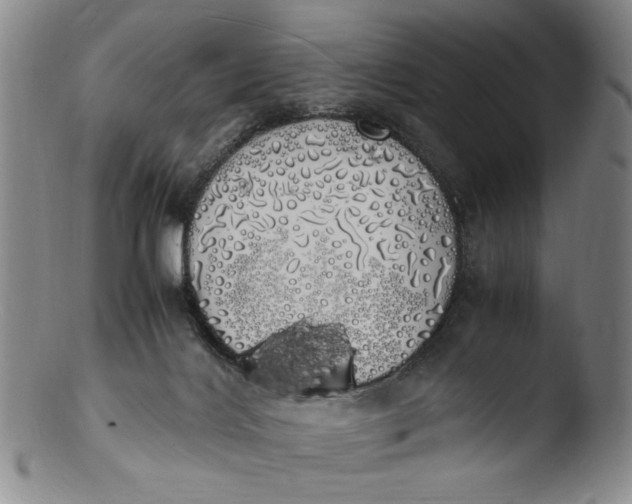 X0000103430028200809261741