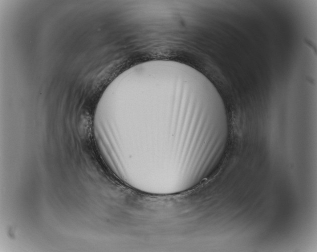 X0000103430029200809261741