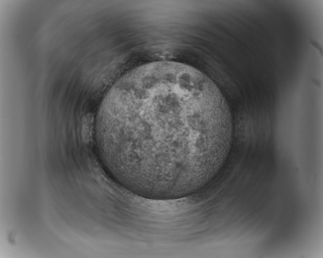 X0000103430030200809261741