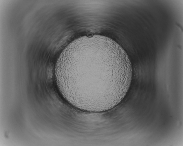 X0000103430032200809261741