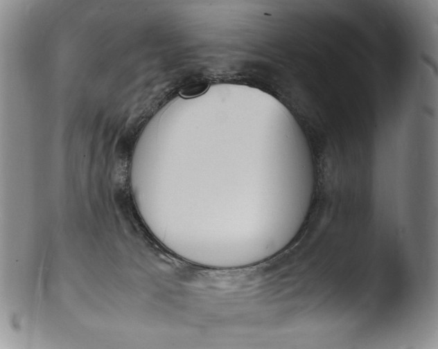 X0000103430033200809261741