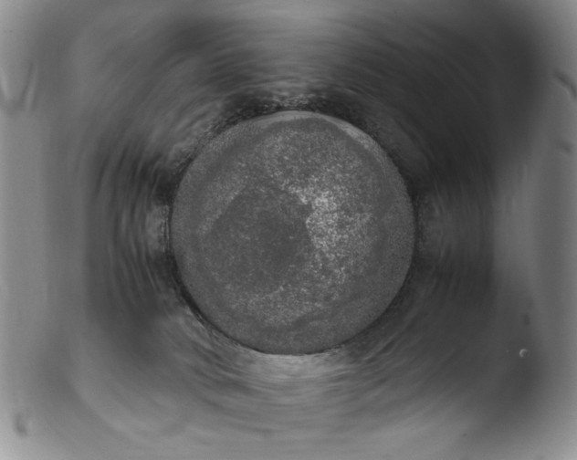 X0000103430034200809261741