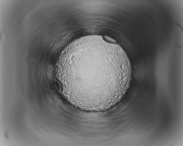 X0000103430036200809261741