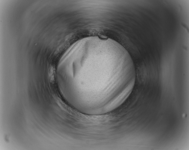 X0000103430038200809261741