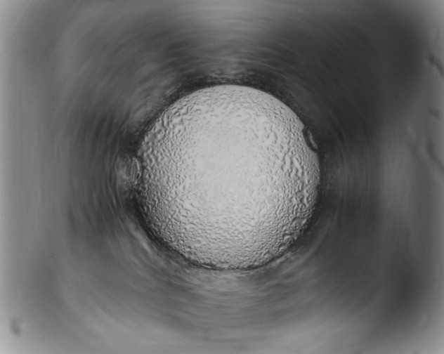 X0000103430040200809261741