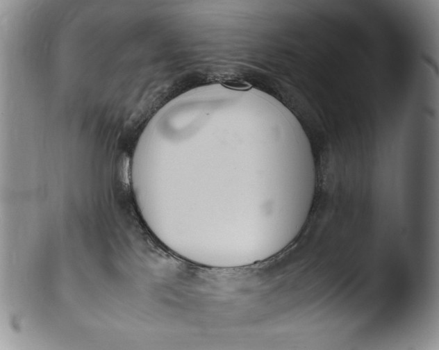 X0000103430041200809261741