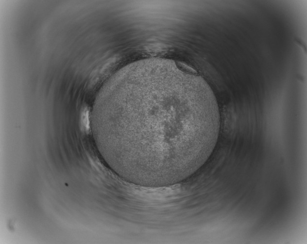 X0000103430042200809261741