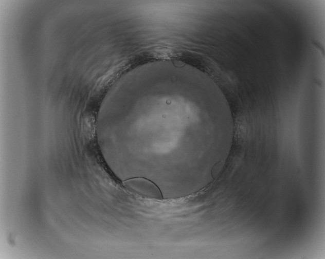 X0000103430043200809261741