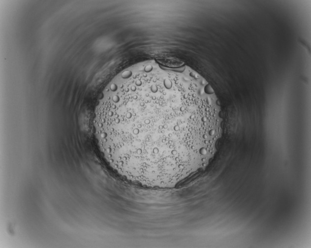 X0000103430044200809261741