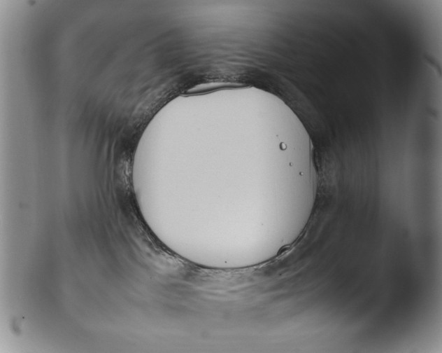 X0000103430045200809261741