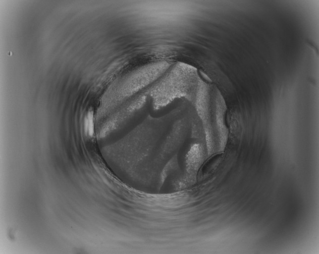 X0000103430046200809261741