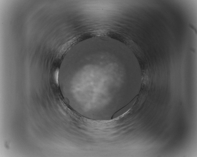 X0000103430047200809261741