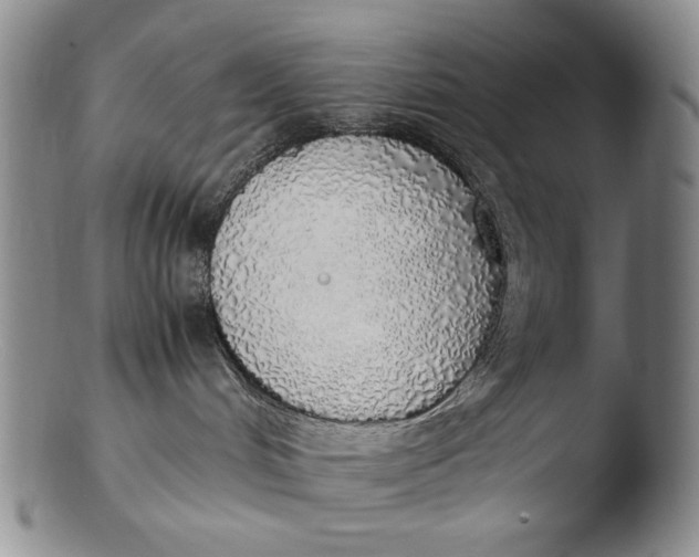 X0000103430048200809261741