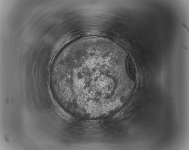 X0000103430049200809261740