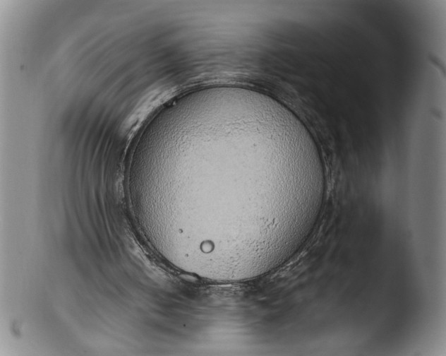 X0000103430050200809261740