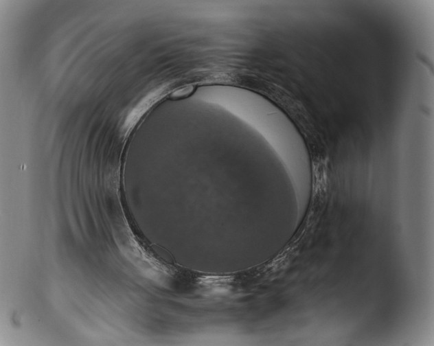 X0000103430051200809261740