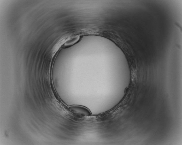 X0000103430052200809261740