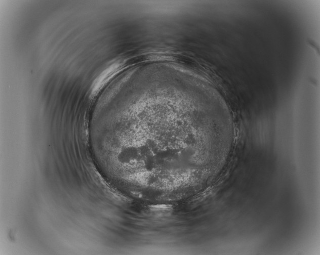 X0000103430053200809261740