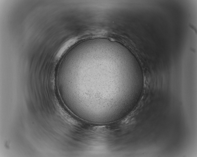 X0000103430054200809261740