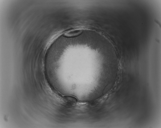 X0000103430055200809261740