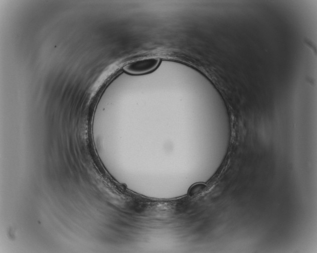 X0000103430056200809261740