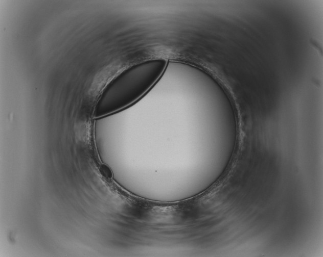 X0000103430057200809261740