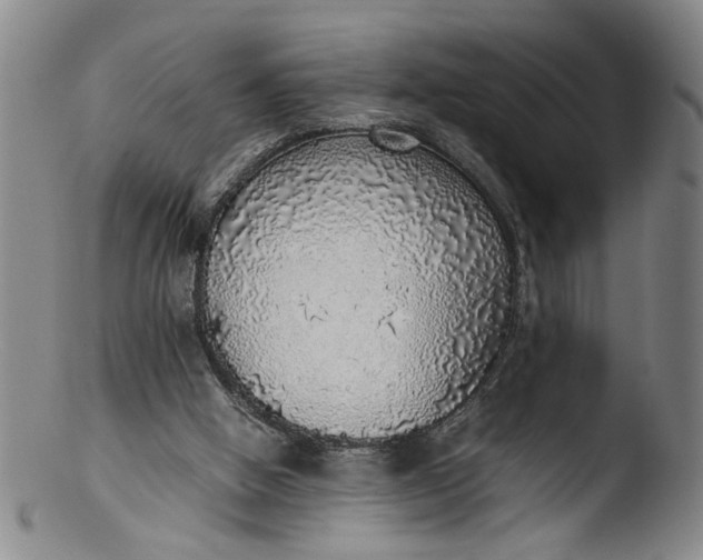 X0000103430058200809261740