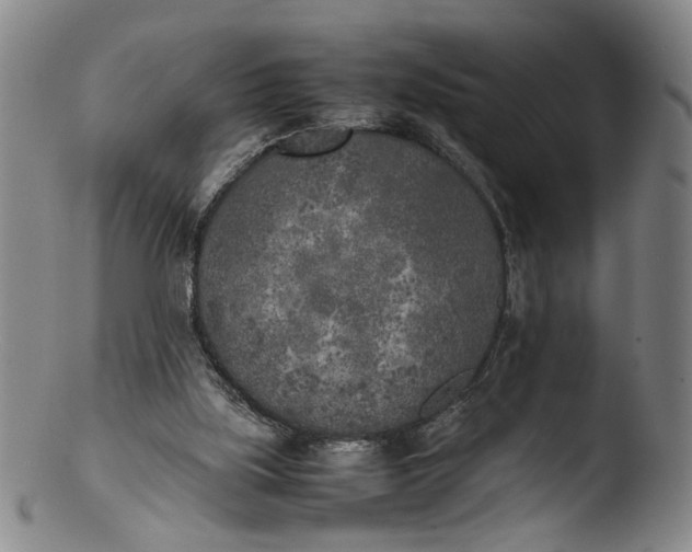 X0000103430059200809261740