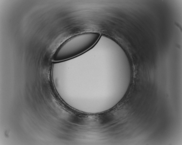 X0000103430060200809261740