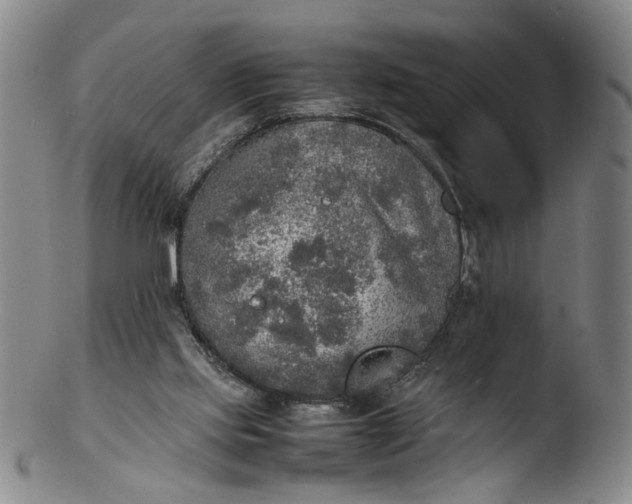 X0000103430061200809261740