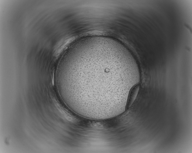 X0000103430062200809261740