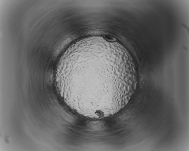 X0000103430063200809261740