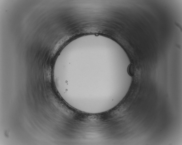 X0000103430064200809261740