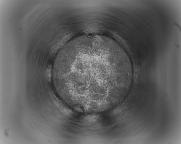 X0000103430065200809261740